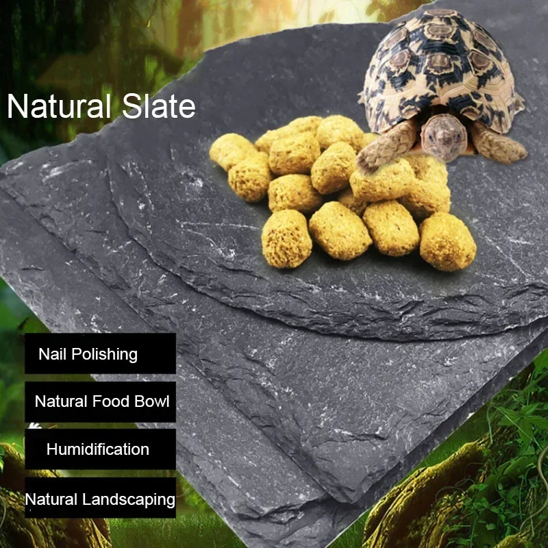 Aquarium Driftwood - Natural Slate Aquarium Pet Reptile Feeder