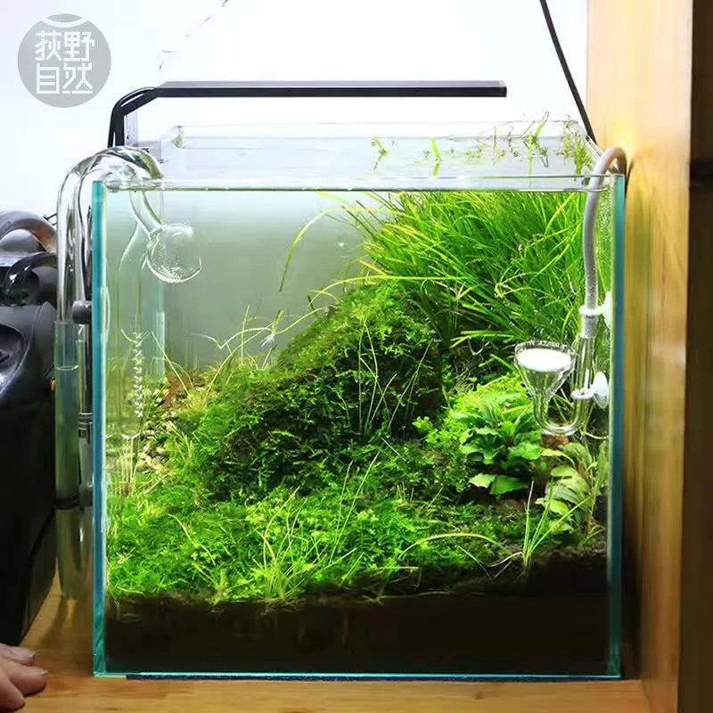 Aquarium Plant Light - Chihiros C Series ADA Style Plant