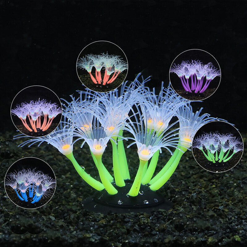 Silicone Glowing Landscape Art - Live Plant Aquarium review and price