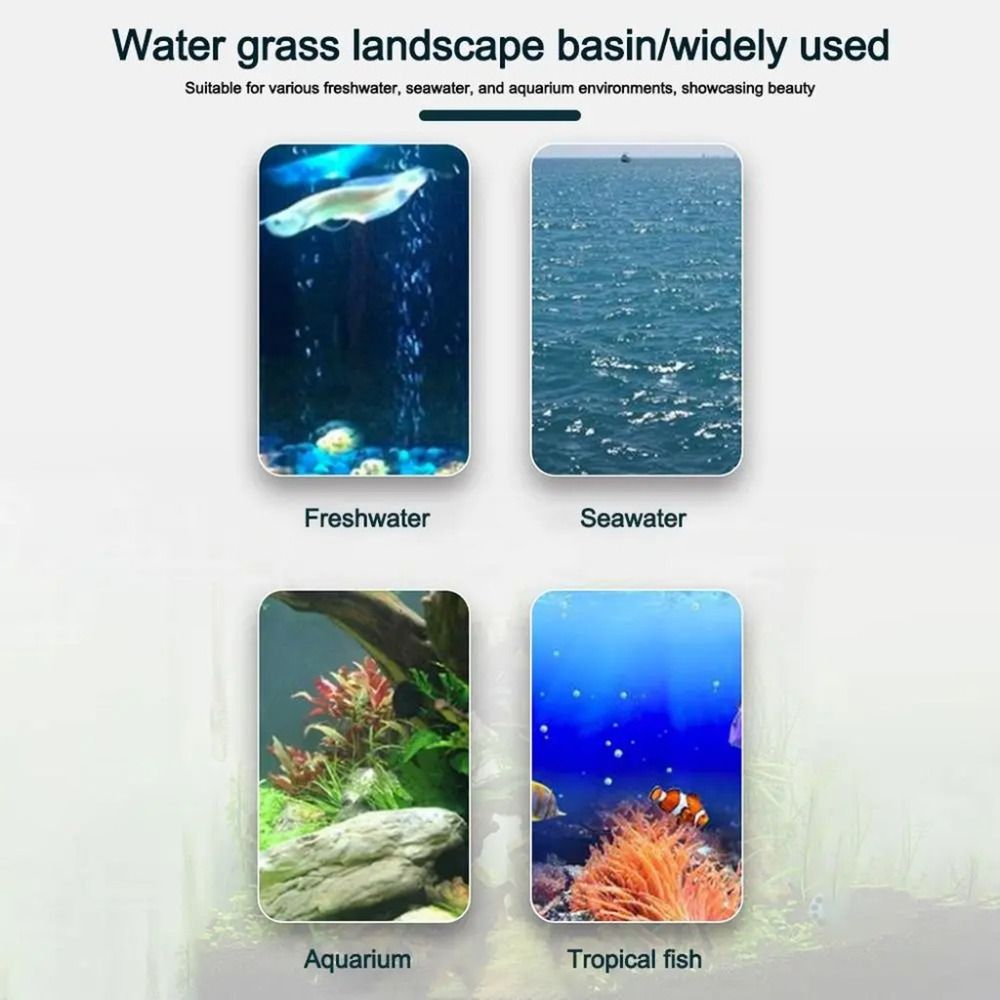 10Pcs Transparent Plant Hydrop - Aquarium Plants Live review and price