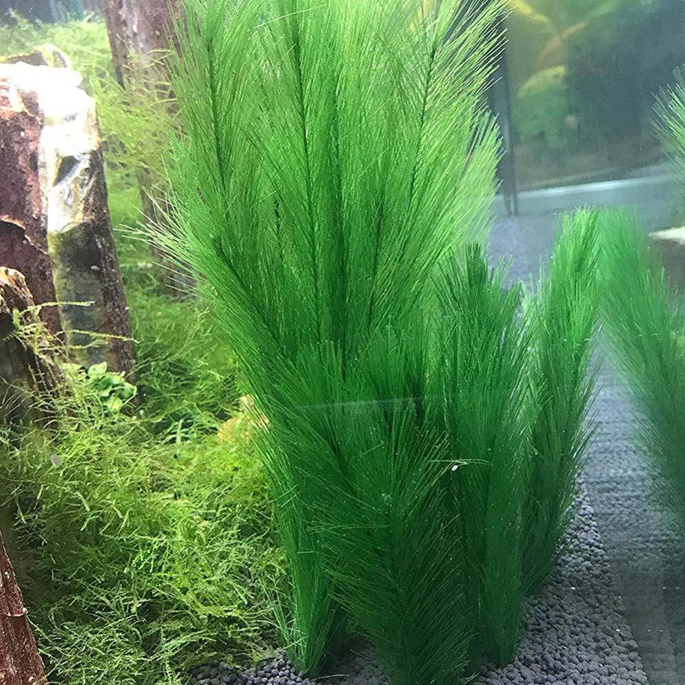 1/3Pcs 28/40cm Aquarium Fish T - Live Plant Aquarium review and price