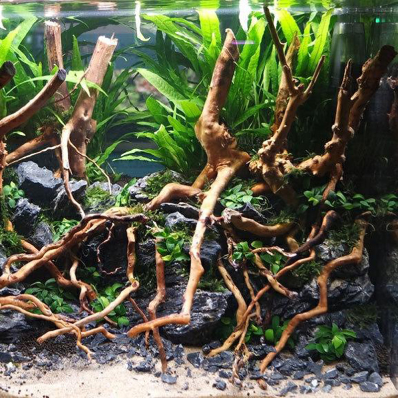 Natural Driftwood Root Trunk T - Aquarium Driftwood review and price