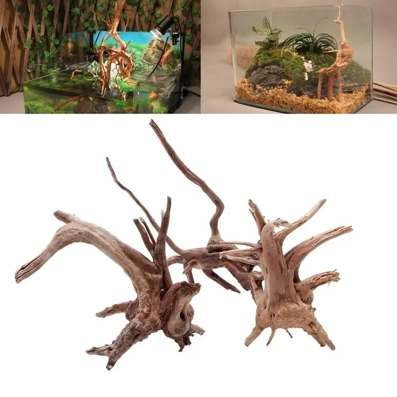 Natural Tree Trunk Driftwood A - Live Plant Aquarium review and price