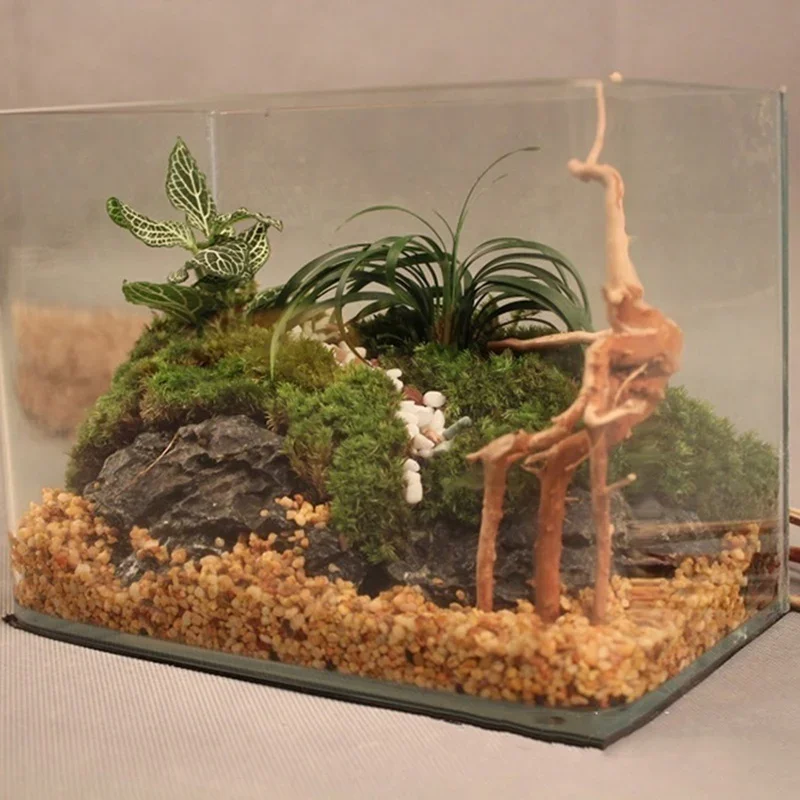 Natural Tree Trunk Driftwood A - Live Plant Aquarium review and price