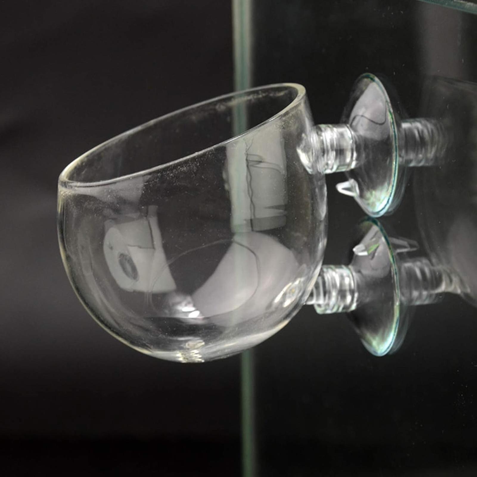 Aquarium Plant Holder Glass Aq - Live Plant Aquarium review and price