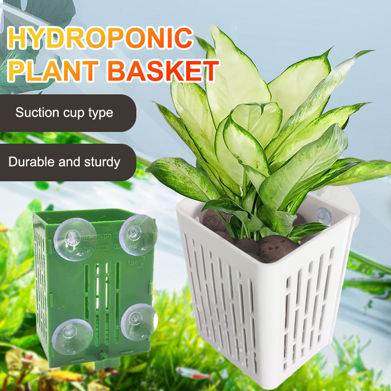 Hanging Suction Cup Hook Aquar - Plant Aquarium Pot review and price