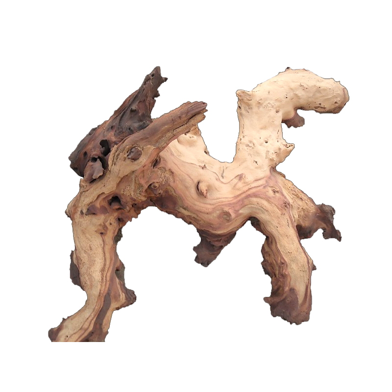 Mopani Roots Driftwood Wholesa - Aquarium Driftwood review and price