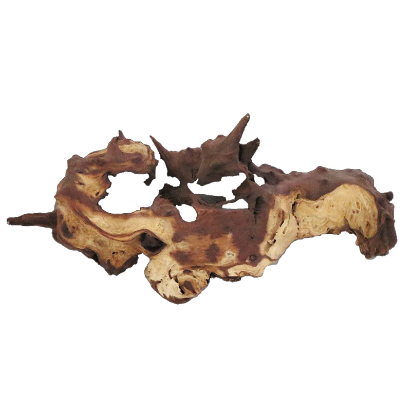 Mopani Roots Driftwood Wholesa - Aquarium Driftwood review and price