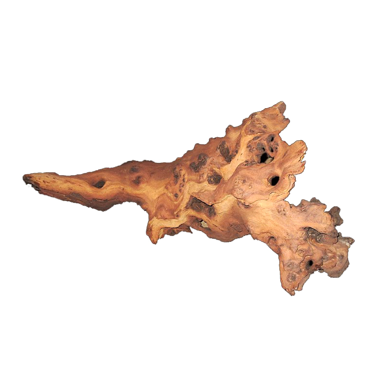 Mopani Roots Driftwood Wholesa - Aquarium Driftwood review and price
