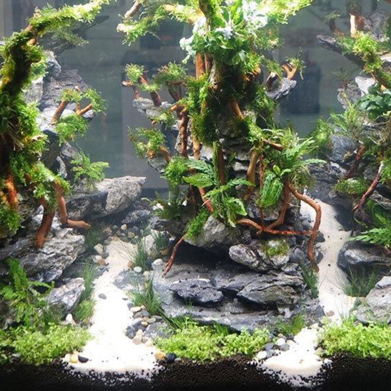Aquarium Micro Landscape Natur - Aquarium Driftwood review and price