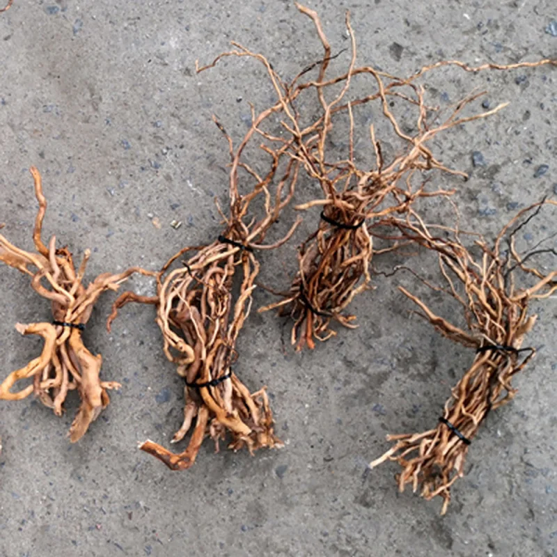 Aquarium Micro Landscape Natur - Aquarium Driftwood review and price