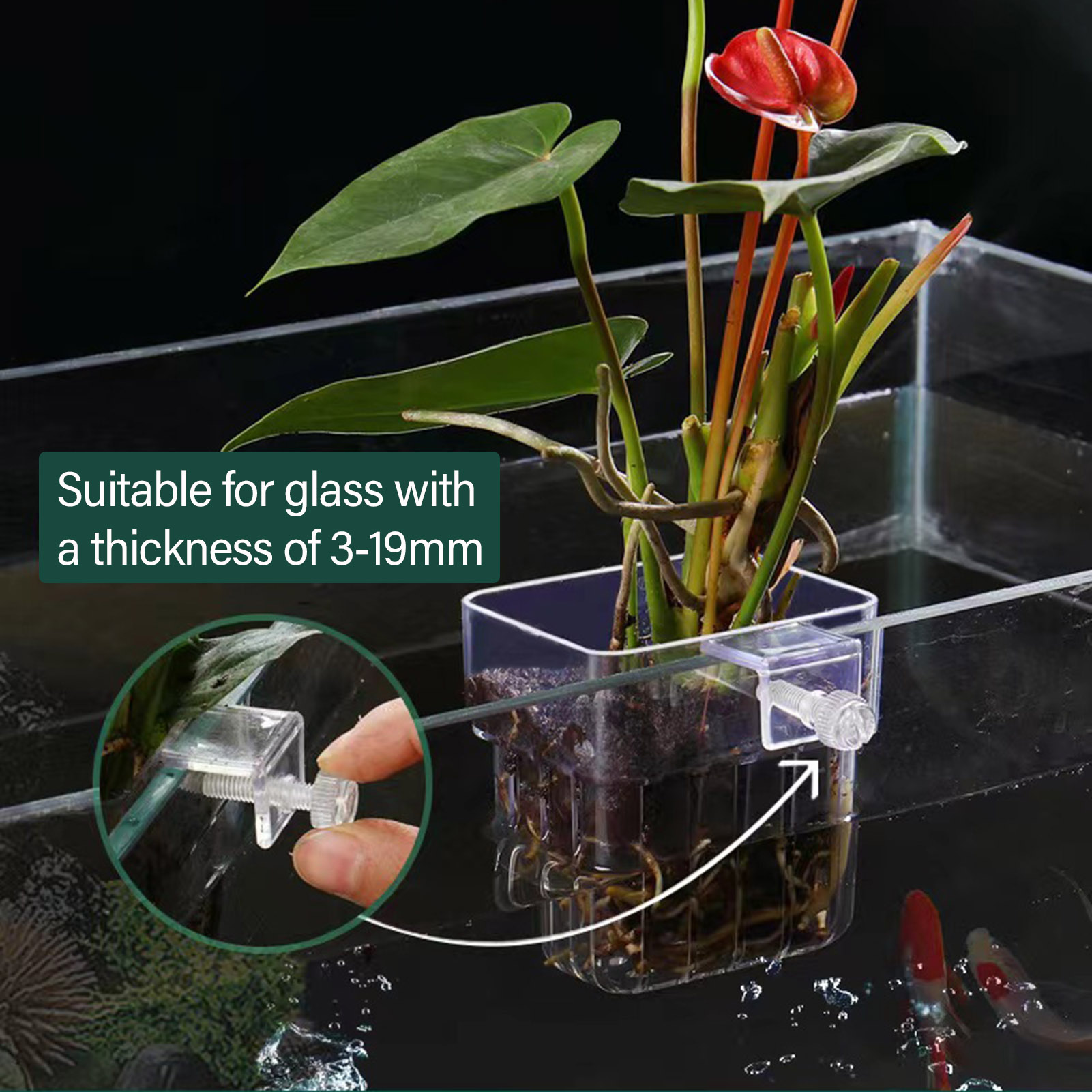 Clear Acrylic Plant Holder Hyd - Aquarium Plant Holder review and price