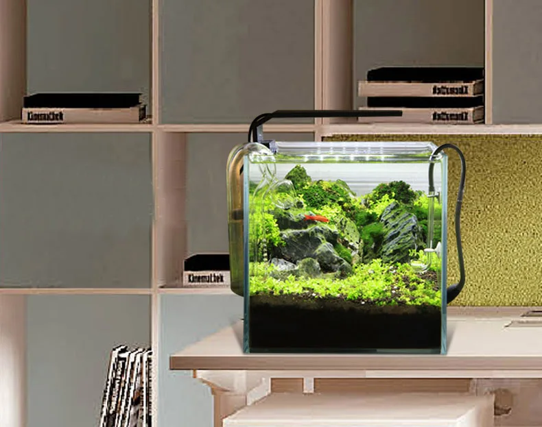 Chihiros C Series ADA Style Pl - Aquarium Plant Light review and price