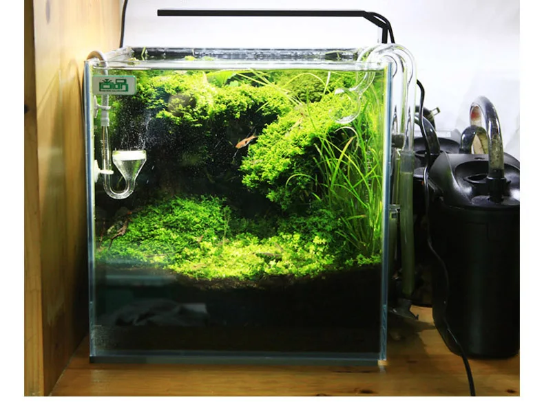 Chihiros C Series ADA Style Pl - Aquarium Plant Light review and price