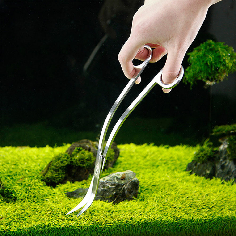 Aquarium Accessories Hard Stai - Planted Aquarium Cleaning review and price