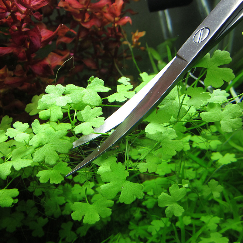 Aquarium Accessories Hard Stai - Planted Aquarium Cleaning review and price