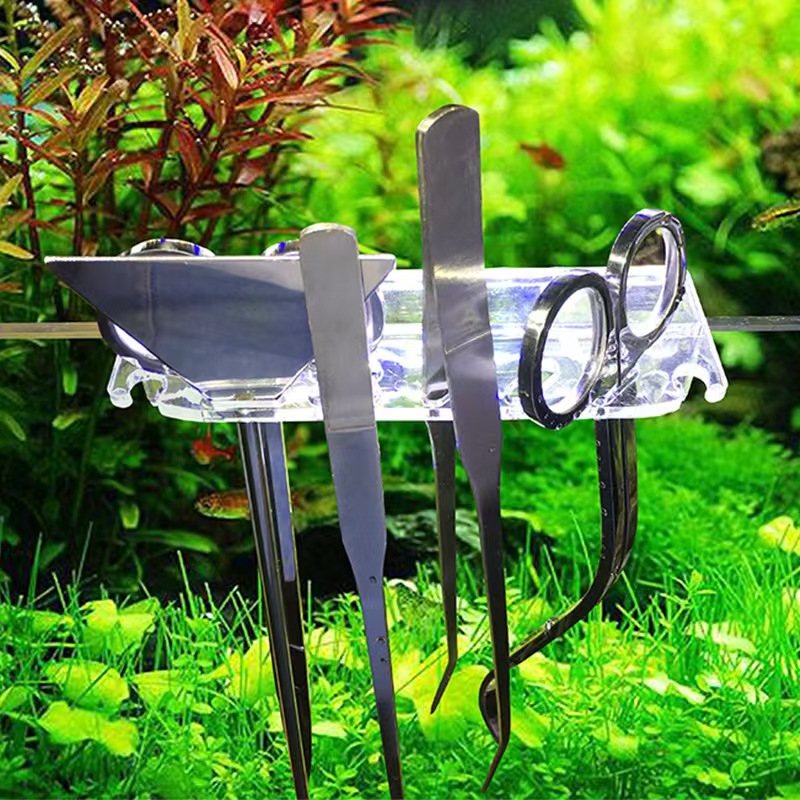 Professional Aquarium Maintena - Live Plant Aquarium review and price
