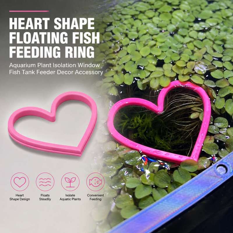 Heart Shaped Floating Fish Fee - Aquarium Fertilizer review and price