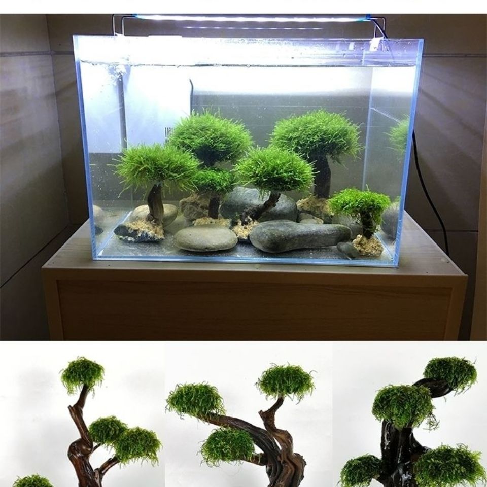 Fish tank greening wood frame  - Aquarium Driftwood review and price