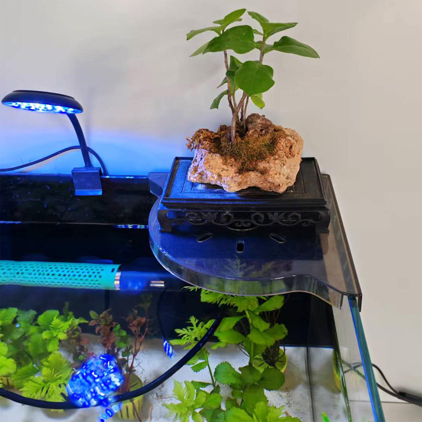 Triangle Fish Tank Corner Stor - Aquarium Plants Live review and price