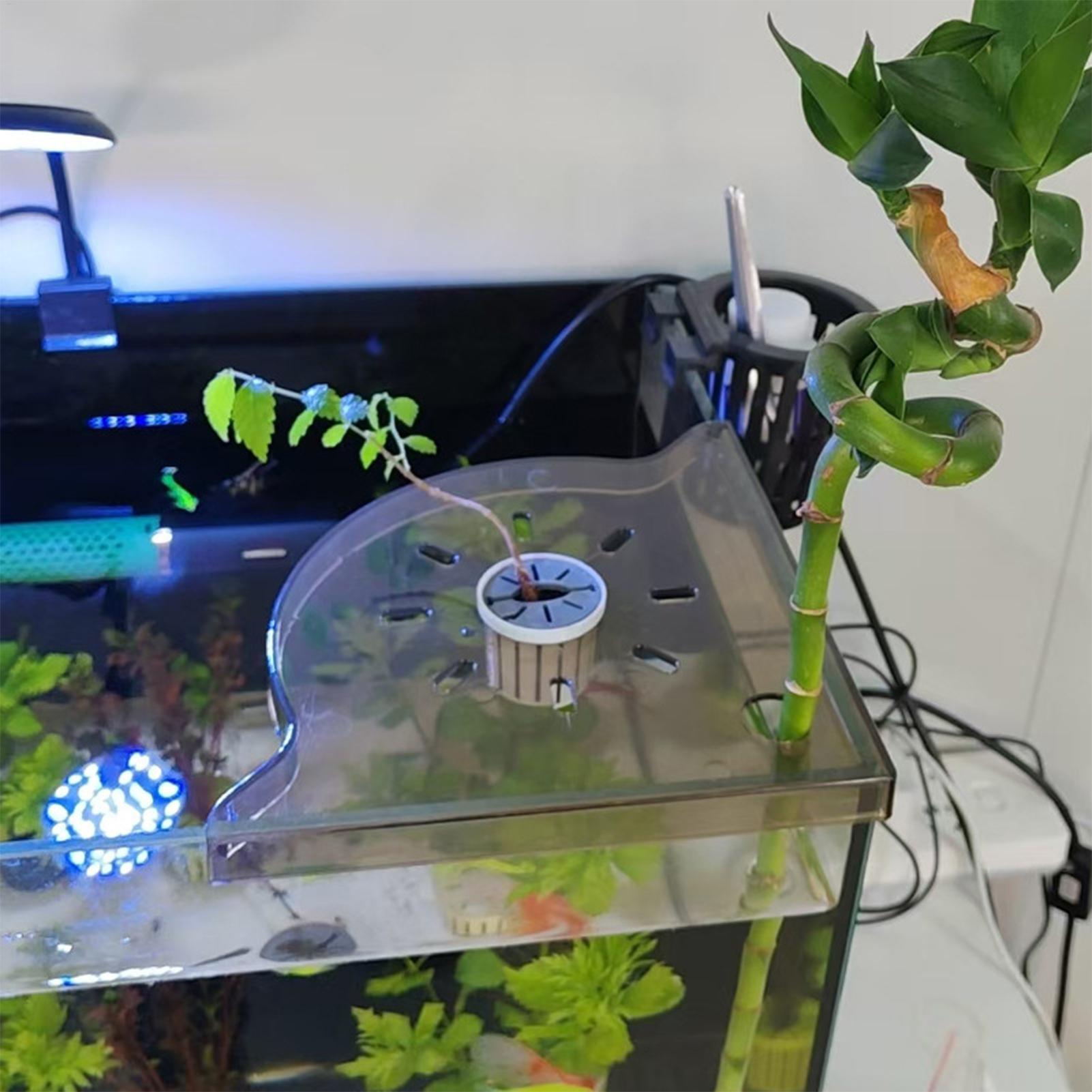 Triangle Fish Tank Corner Stor - Aquarium Plants Live review and price