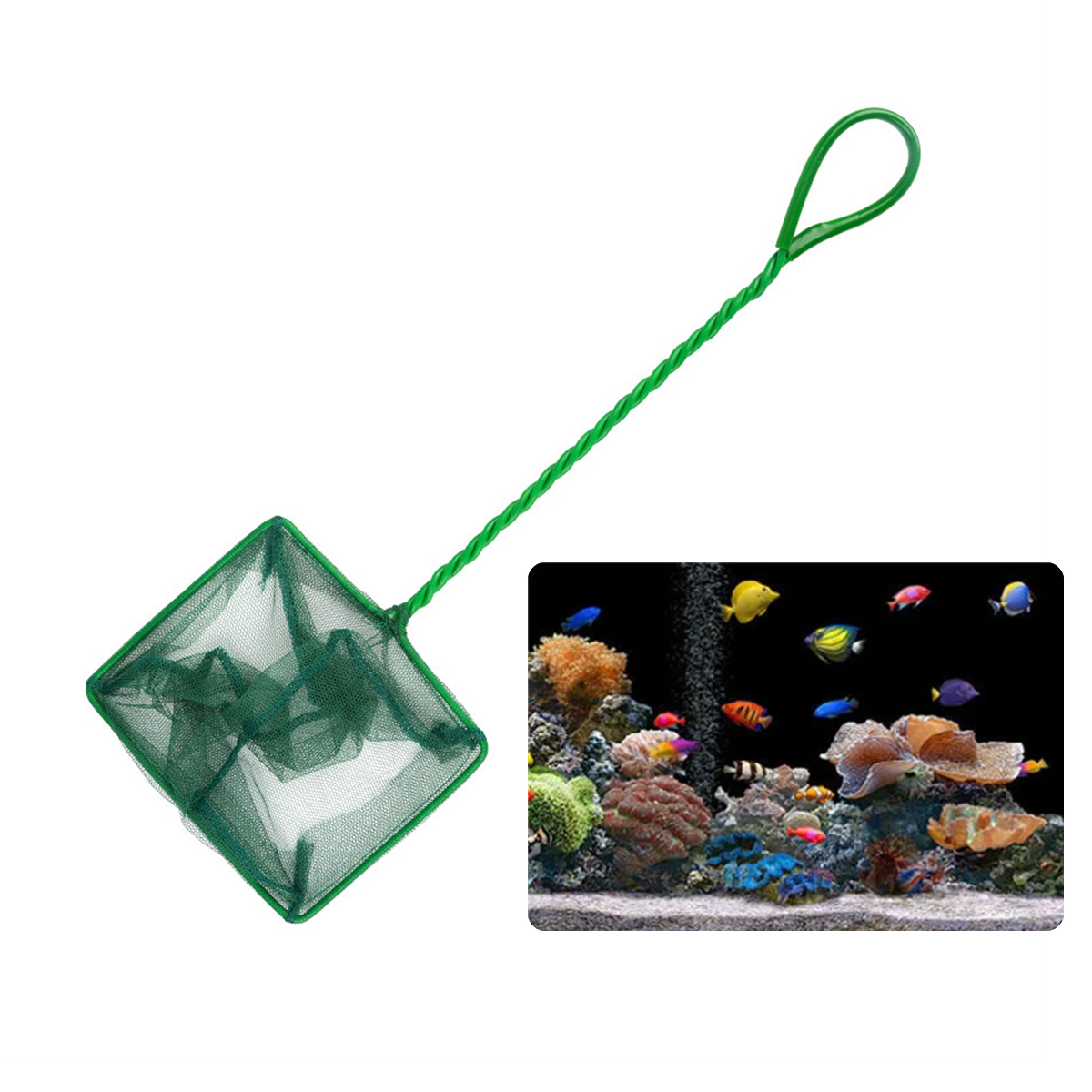 3~10 Inch Portable Nylon Green - Planted Aquarium Cleaning review and price