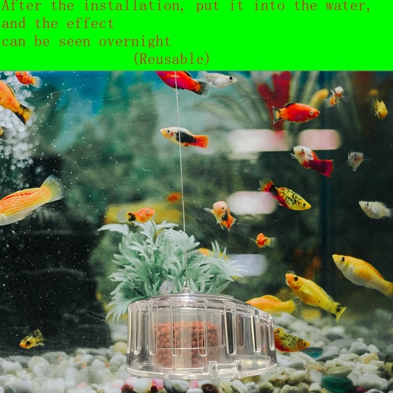 Aquarium Plant Snail Trap Catc - Planted Aquarium Cleaning review and price