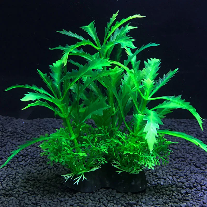 Aquarium Artificial Decor Plan - Live Plant Aquarium review and price