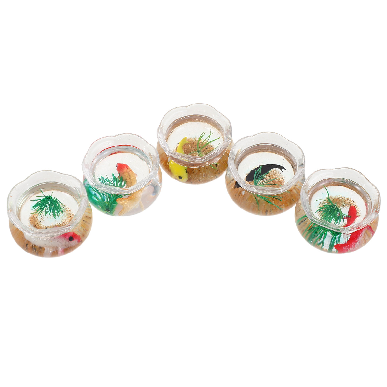 5pcs Miniature Koi Fish Tank:  - Planted Tank review and price