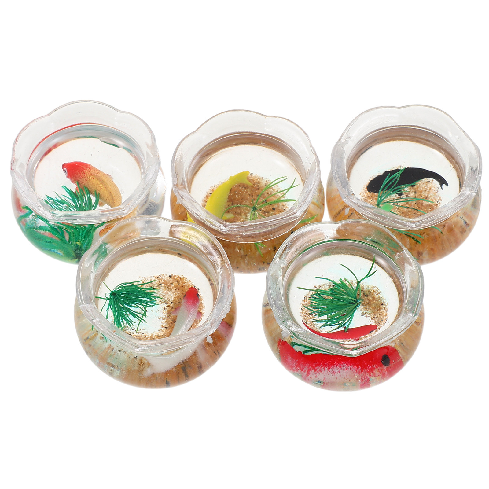 5pcs Miniature Koi Fish Tank:  - Planted Tank review and price